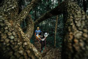 BIB: 
                            <button type="button" onclick="openModal(25674300)" class="btn btn-primary btn-sm float-right btn-popup" data-toggle="modal" data-target=".modal-high-quality">
                        <i class="fas fa-shopping-cart"></i> Add to Cart
                    </button>
                                            <button type="button" onclick="isThisMe(25674300, true)" class="btn btn-success btn-sm float-right btn-popup btn-isme hidden" data-toggle="tooltip" data-placement="bottom" title="นี่คือรูปของคุณใช่ไหม คลิกที่นี่เพื่อเอาเข้าอัลบั้ม">
                        <i class="fas fa-plus"></i> Add to album
                    </button>
                    <button type="button" onclick="isThisMe(25674300, false)" class="btn btn-warning btn-sm float-right btn-popup btn-isnotme hidden">
                        <i class="fas fa-ban"></i> Remove from album
                    </button>